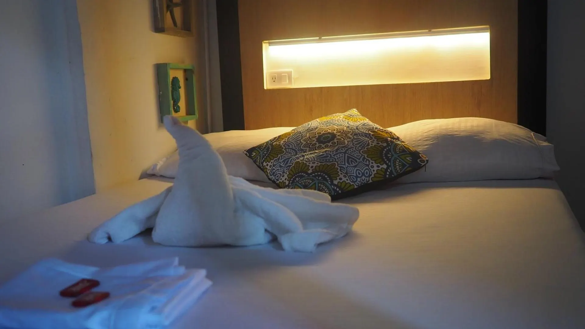 Baboon Hostel Santa Marta  Colombia